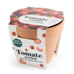 Radis et Capucine - Kit Tomate Cerise Bio - Pot en Terre Cuite - 13 cm - MEDIA_3D